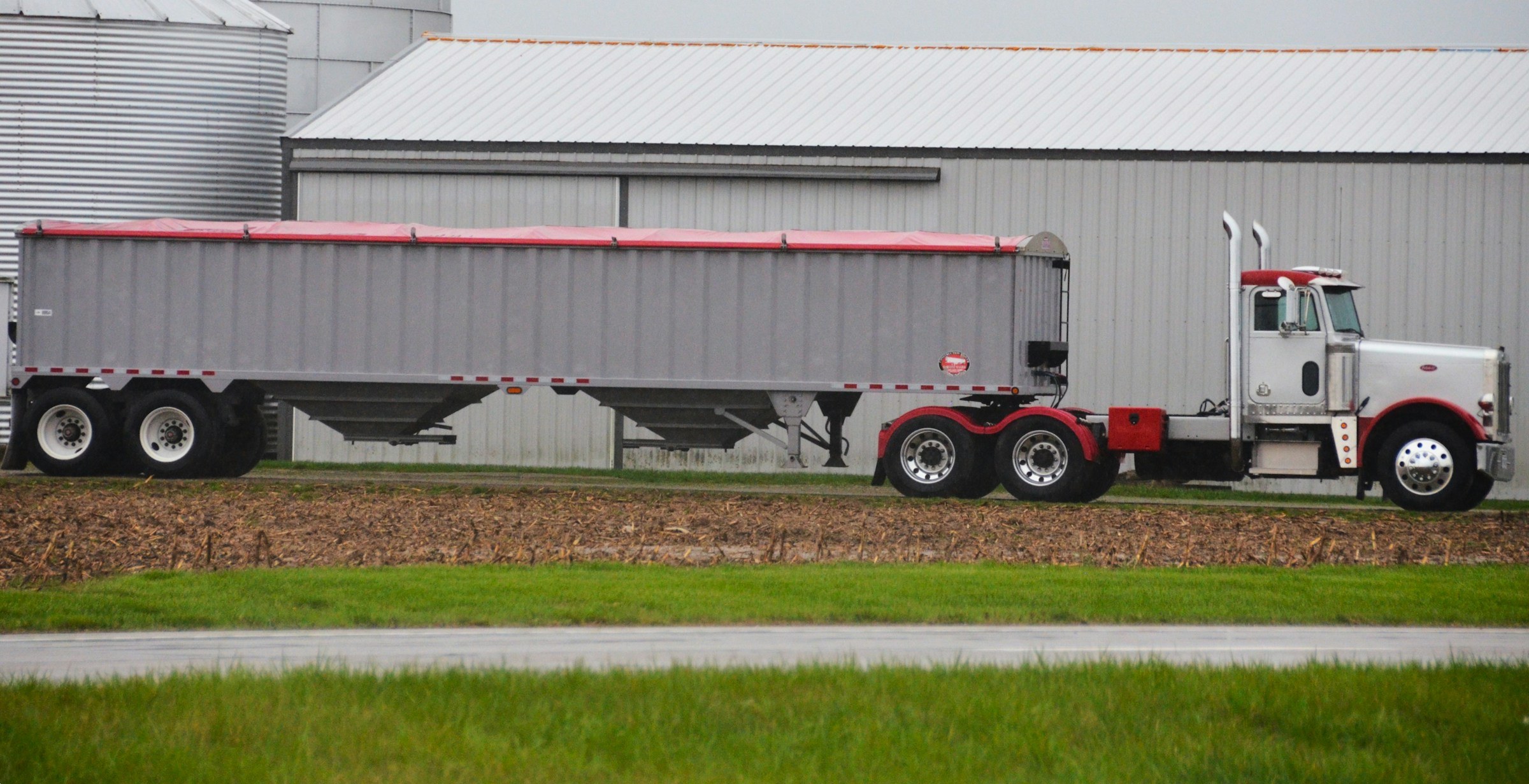 White and red conventional Peterbilt semi truck with a gray hopper trailer parked beside a metal building and green grass